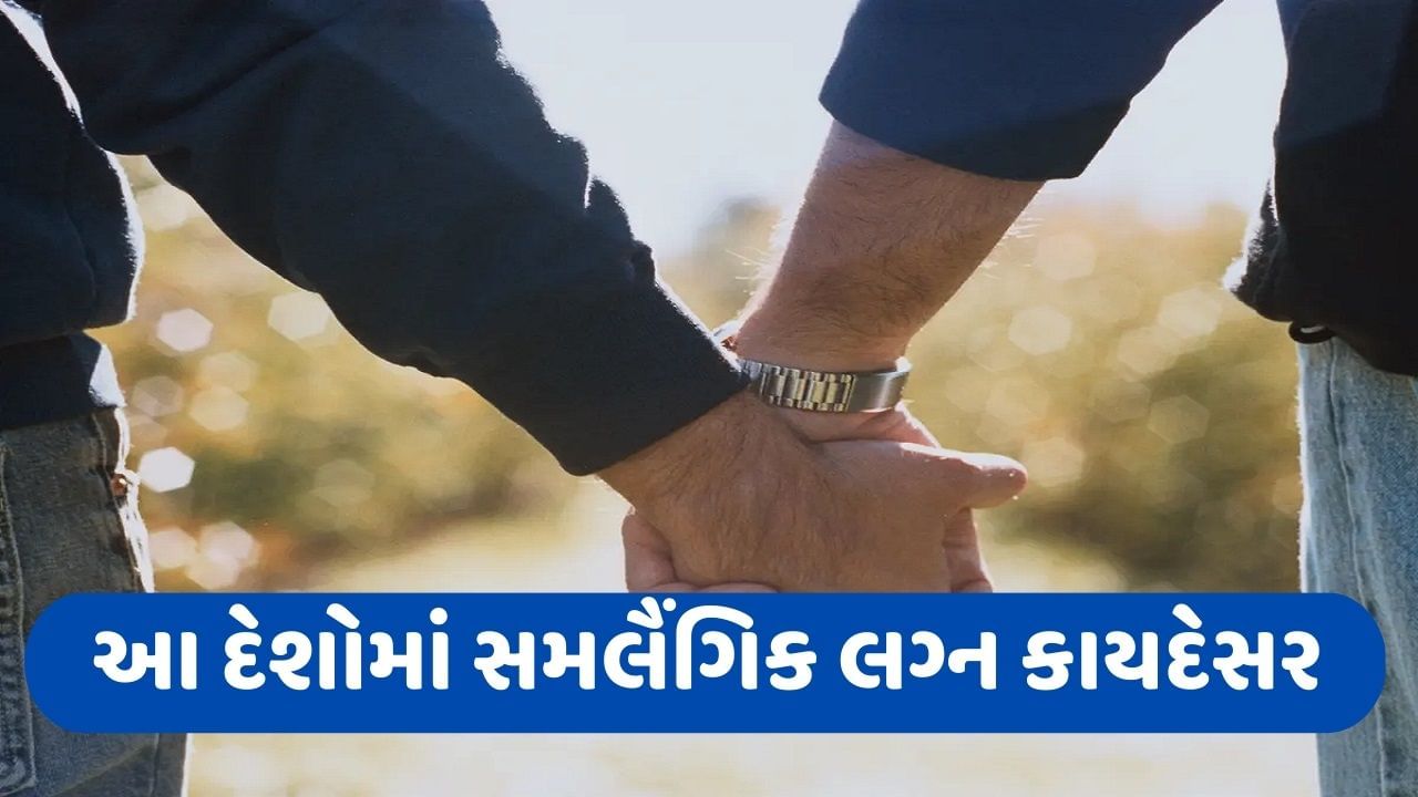 Same Sex Marriage ઘણ દશમ સમલગક લગનન કયદસર ગણવમ આવ છ