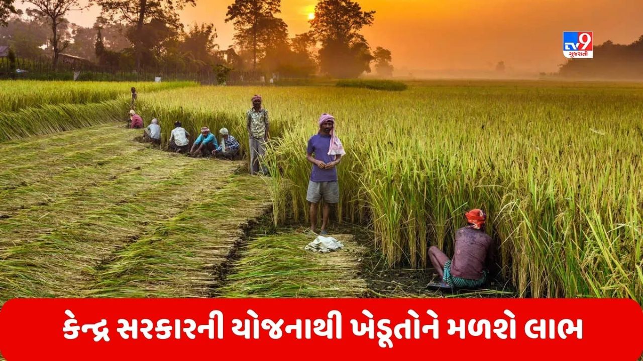 Agriculture Scheme PM પરણમ યજનન મળ કબનટન મજર વશષ પકજ