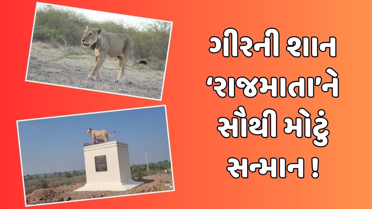 એશયન સથ વધ જવનર સહણન બનવય સમરક રજમત ન નમ છ