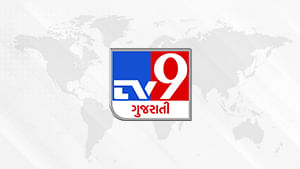 સુરેન્દ્રનગરની હળવદ APMCમાં મગફળીના મહત્તમ ભાવ રૂપિયા 8075 રહ્યા સુરેન્દ્રનગરની હળવદ APMCમાં મગફળીના મહત્તમ ભાવ રૂપિયા 8075 રહ્યા