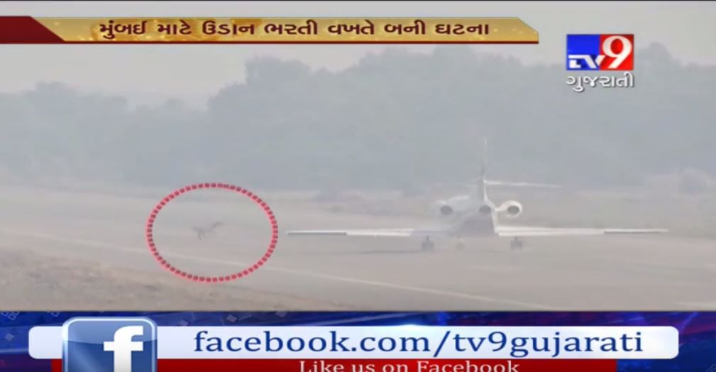 VIDEO: અયોધ્યા :  ઉદ્ધવ ઠાકરેના વિમાનનો અકસ્માત ટળ્યો