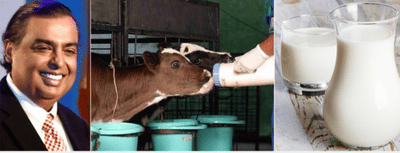 જાણો એશિયાના સૌથી ધનિક વ્યક્તિ મુકેશ અંબાણીના ઘરમાં કઈ ડેરીનું દૂધ આવે છે અને કેટલા રૂપિયે લીટર મળે છે?