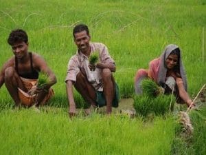 કેન્દ્ર સરકારની ખેડૂતોને 6000 રૂપિયા આપવાની યોજના પર હાયતોબા મચાવનારું વિપક્ષ ખુદ પહેલેથી જ ચલાવી રહ્યું છે ઘણાં રાજ્યોમાં આવી યોજનાઓ, જાણો કયા રાજ્યમાં કઈ સરકાર કેટલા પૈસા આપી રહી છે