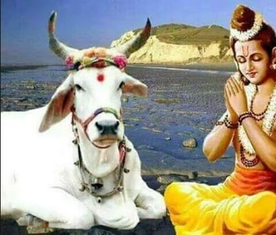 સુપ્રીમ કોર્ટના આ પૂર્વ જસ્ટિસને સંસદીય લોકશાહીમાં નથી વિશ્વાસ, ‘રામ નહોતા ભગવાન, ગાયને માતા કહેનારાઓના મગજમાં છે ગોબર’ !