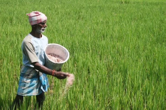 BUDGET 2019 : નબળા અને નાના ખેડૂતોને દર વર્ષે સરકાર આપશે 6,000 રૂપિયા, પીએમ કિસાન સન્માન નિધિ યોજનાની જાહેરાત