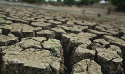 ગુજરાતના ખેડૂતોને ખારાશવાળી જમીનમાંથી મળશે હવે છૂટકારો, જાણો કેવી રીતે અને ક્યાં મળશે મદદ?