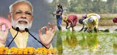 ખેડૂતોની મદદ કરવામાં મોદી સરકાર પડ્યું મોડું, દેશના ચાર રાજ્યોમાં હાલમાં જ મળી રહી છે 5 હજારથી લઈ 10 હજાર સુધીની મદદ