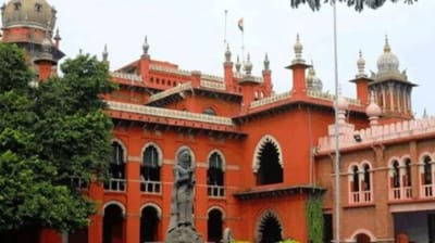 મદ્રાસ હાઈકોર્ટે સરકારને આપ્યો આદેશ, ભારતમાં TIKTOK પર લગાવો પ્રતિબંધ