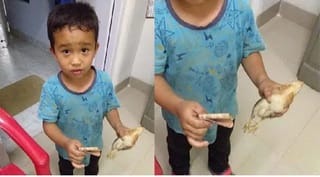 10 વર્ષનો છોકરો વાસ્તવિક જીવનામાં બન્યો ‘દેવનો રૂપ’, મરઘીના બચ્ચાં પર સાયકલ ચઢાવી દીધી તો જાતે જ લઈને દોડ્યો હોસ્પિટલ, મરઘીનું બચ્ચું જીવ્યું કે બચ્યું ?