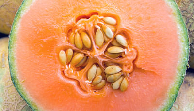 આ ચીભડાંની કિંંમત જાણીને તમે કહેશો કે ના હોય, આટલા રુપિયામાં કોઈપણ ના ખરીદે!