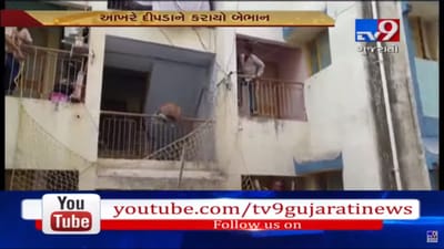 નવસારીમાં દીપડાની દહેશતથી લોકોમાં ભયનો માહોલ, દીપડાને ઝડપી પાડવા કવાયત શરૂ