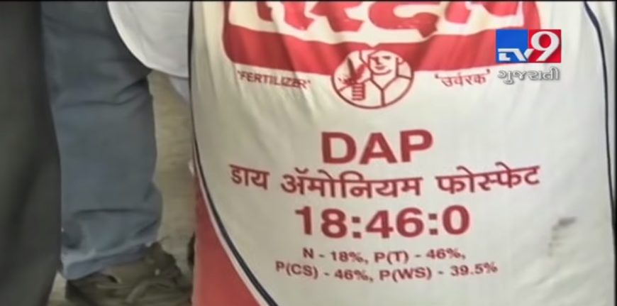 DAP ખાતરનું કથિત કૌભાંડઃ સરકાર દ્વારા વેચાણ પર પ્રતિબંધ મૂકાતા ખેડૂતોને પડશે આવી મુશ્કેલી