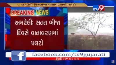 અમરેલી પંથકમાં સતત બીજા દિવસે પણ કમોસમી વરસાદ,જુઓ VIDEO