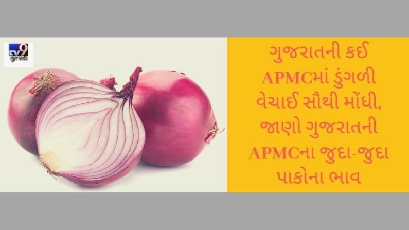 ગુજરાતની કઈ APMCમાં ડુંગળી વેચાઈ સૌથી મોંધી, જાણો ગુજરાતની APMCના જુદા-જુદા પાકોના ભાવ