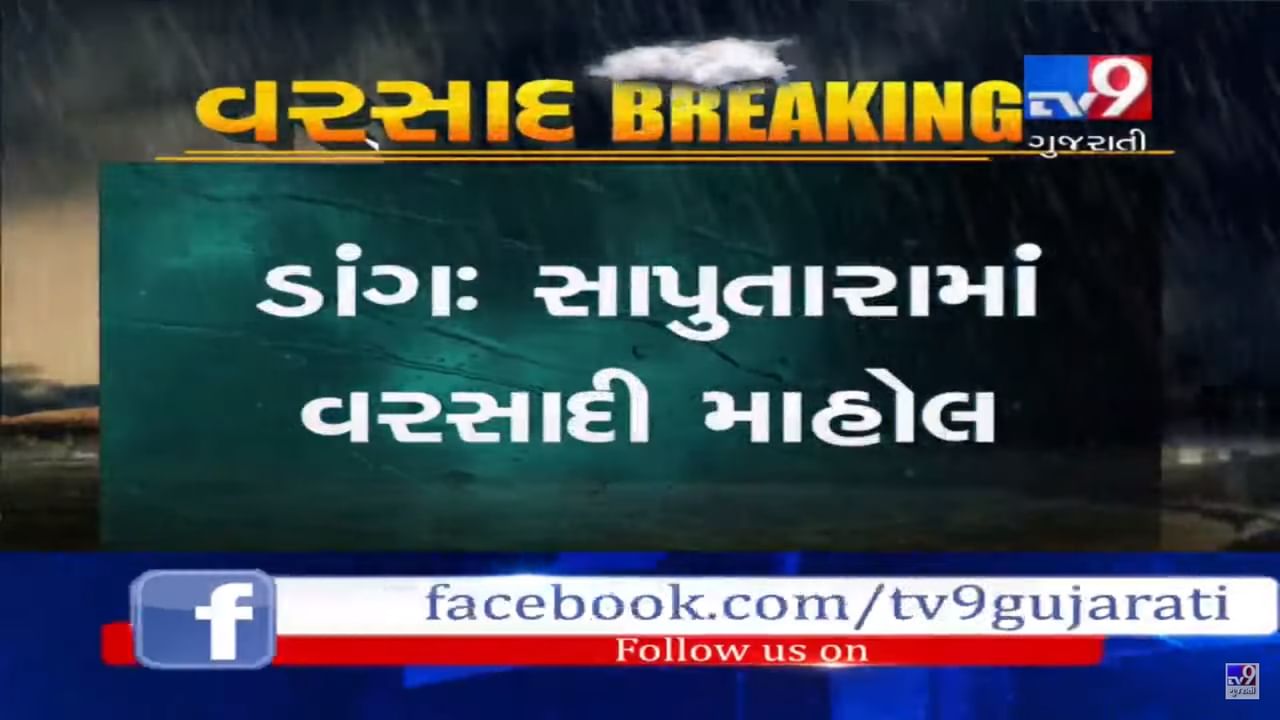 સાપુતારામાં 4 દિવસથી સતત વરસાદથી પ્રકૃતિ સોળે કળાએ ખીલી ઉઠી છે, ગાઢ ધૂમ્મસ સાથે ઝરમર વરસાદ શરૂ, જુઓ VIDEO