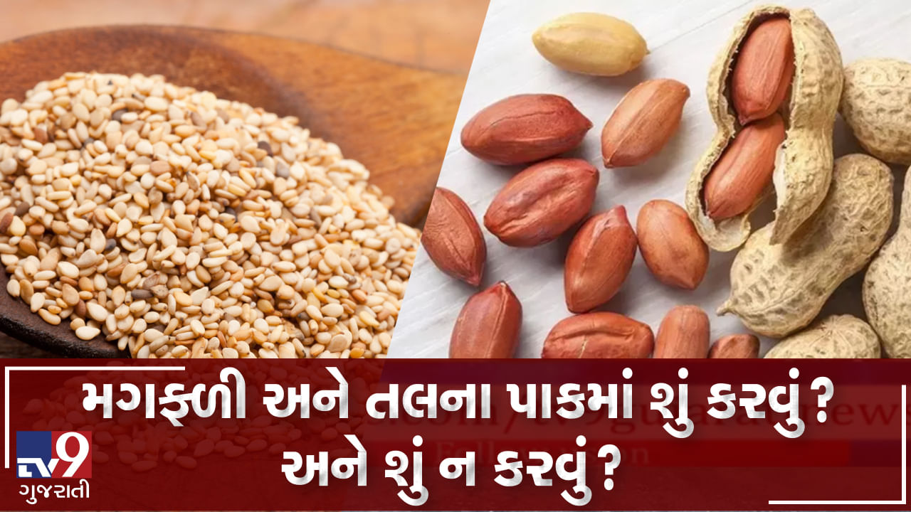 Video: મગફળી અને તલના પાકમાં શું કરવું? અને શું ન કરવું?