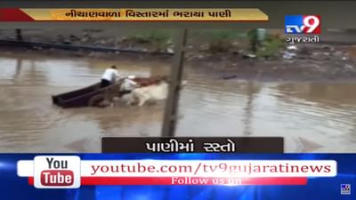 VIDEO: ભાવનગરના વરલ ગામમાં પ્રથમ બે વરસાદમાં જ રસ્તા પર ભરાયા પાણી, લોકોને પડી રહી છે તક્લીફ