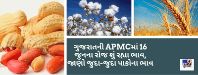 ગુજરાતની APMCમાં 16 જુનના રોજ શું રહ્યા ભાવ, જાણો જુદા-જુદા પાકોના ભાવ