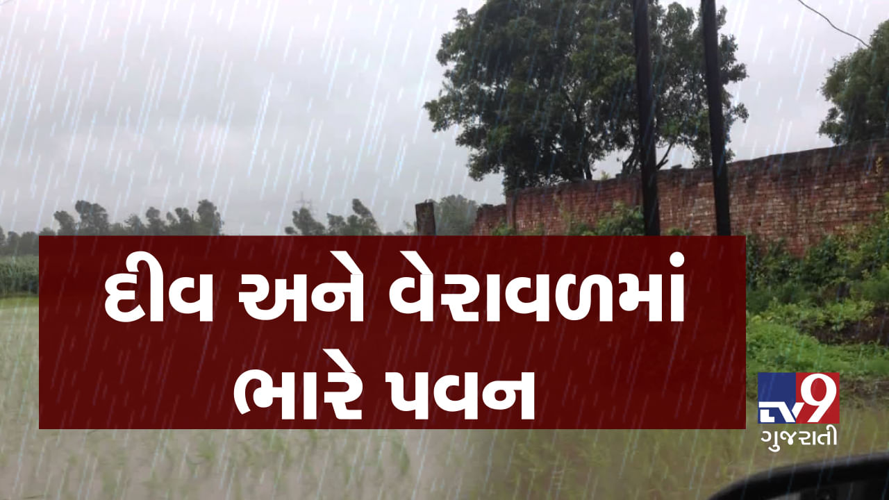 VIDEO: ગીર સોમનાથ જિલ્લાના વેરાવળમાં વાયુ વાવાઝોડાની ભયાનક અસર