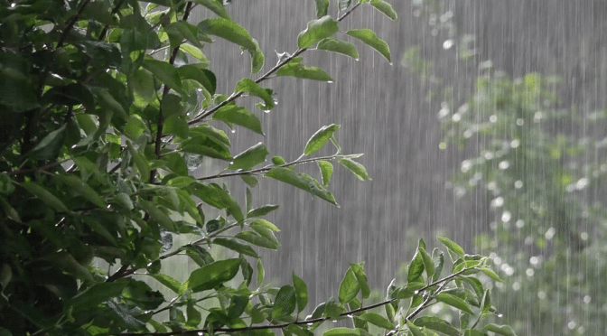 સૌરાષ્ટ્રમાં વરસાદની પધરામણીથી ખૂશીનો માહોલ, હજુ ભારે વરસાદની આગાહી