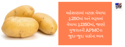 મહેસાણામાં બટાકા વેચાયા રૂ.250માં અને ભરૂચમાં વેચાયા રૂ.1350માં, જાણો ગુજરાતની APMCના જુદા-જુદા પાકોના ભાવ