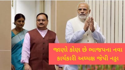 જાણો કોણ છે ભાજપના નવા કાર્યકારી અધ્યક્ષ જેપી નડ્ડા, આ રાજ્યમાં PM મોદી સાથે થઈ હતી પહેલી મુલાકાત