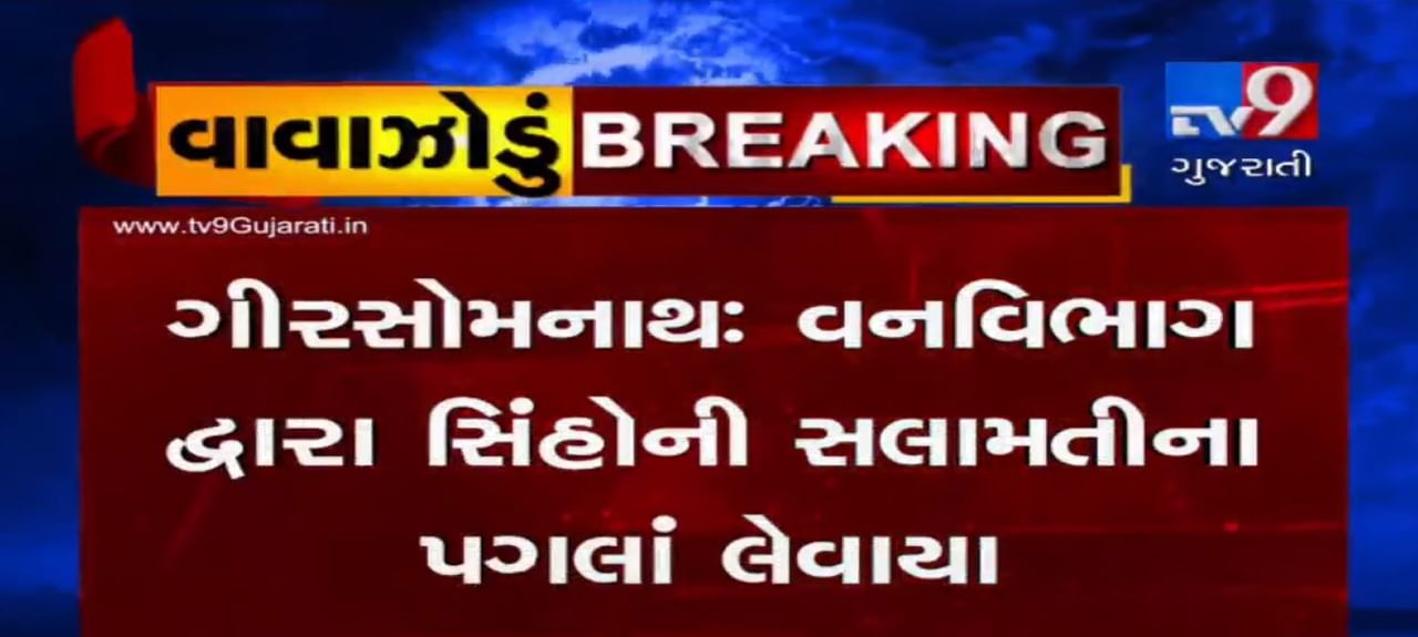 VIDEO: સૌરાષ્ટ્રના દરિયાકાંઠા વિસ્તારના વેરાવળ રેન્જમાં વસવાટ કરતા સિંહોનું રાતોરાત તંત્ર દ્વારા સ્થળાંતર કરાયું