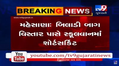 VIDEO: મહેસાણામાં સ્કૂલવાનમાં શોર્ટસર્કિટ થવાની ઘટના બની, ડ્રાઈવરની સમય સૂચકતાથી મોટી દુર્ઘટના ટળી