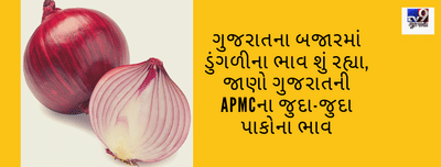 ગુજરાતના બજારમાં ડુંગળીના ભાવ શું રહ્યા, જાણો ગુજરાતની APMCના જુદા-જુદા પાકોના ભાવ