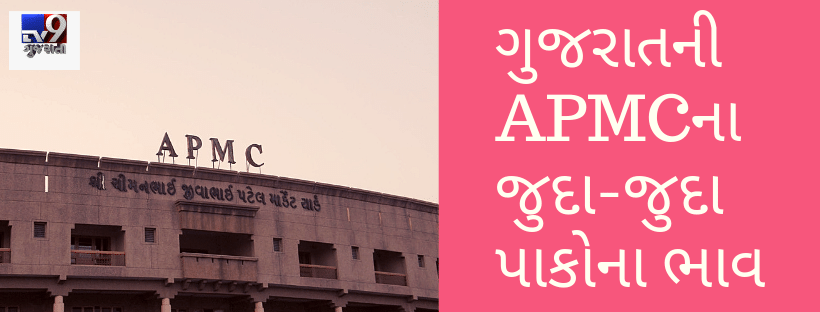 ગુજરાતની APMCના જુદા-જુદા પાકોના ભાવ