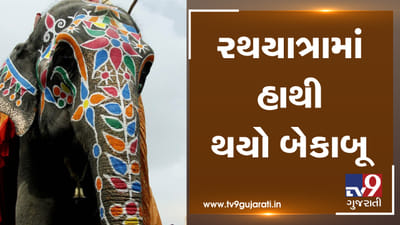 રથયાત્રામાં હાથી થયો બેકાબૂ, સર્જાયો અફરાતફરી ભર્યો માહોલ, જુઓ VIDEO