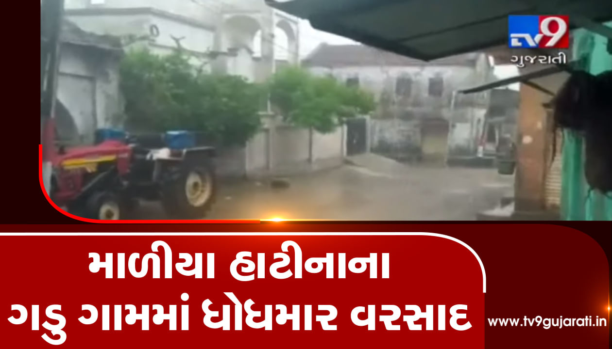 જૂનાગઢ: માળીયા હાટીનાના ગડુ ગામમાં વરસાદ, બે દિવસના વિરામ બાદ પડ્યો વરસાદ, જુઓ VIDEO