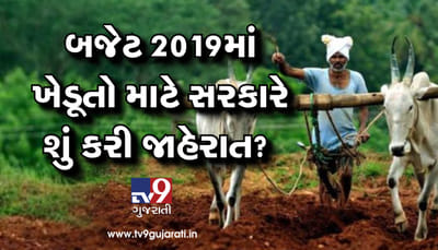 મોદી સરકાર-2ના પ્રથમ બજેટ-2019માં ખેડૂતો માટે શું છે નવી જાહેરાતો?