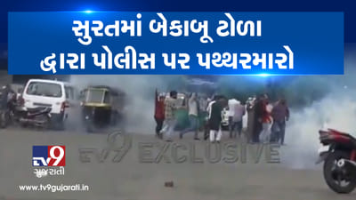 VIDEO: મોબ લિંચિંગના વિરોધની રેલીમાં પોલીસ પર પથ્થરમારાના કેસમાં 20થી વધુ લોકોની અટકાત