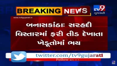 બનાસકાંઠા: સરહદી વિસ્તારમાં ફરી તીડ દેખાતા ખેડૂતોમાં ભયનો માહોલ, જુઓ VIDEO