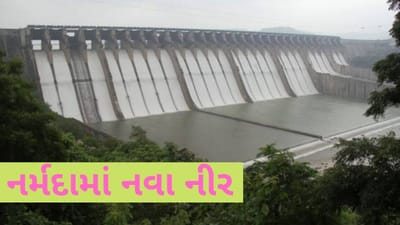 VIDEO: વરસાદના કારણે સરદાર સરોવર ડેમની જળ સપાટી 119.85 પર પહોંચી, કેનાલમાં પાણી છોડાયું