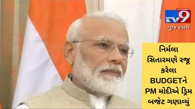 VIDEO: નિર્મલા સિતારમણ દ્વારા રજૂ BUDGET-2019ની PM મોદીએ આ રીતે કરી સરખામણી