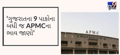 ગુજરાતના 9 પાકોના તમામ APMCના ભાવ જાણો