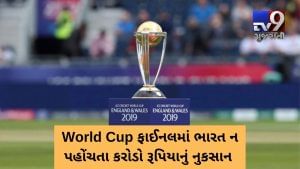 World Cup 2019ના ફાઈનલમાં ભારતની એન્ટ્રી ન થતાં કરોડો રૂપિયાની નુકસાની