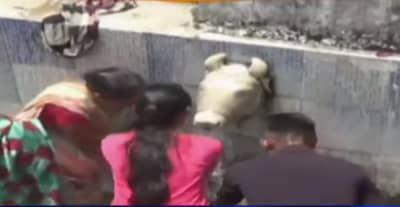 VIDEO: દ્રોણેશ્વર મહાદેવના મંદિરે મોટા પ્રમાણમાં ભક્તોની ભીડ, મંદિરમાં છુપાયા છે અનેક રહસ્યો