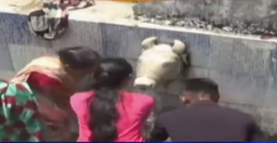 VIDEO: દ્રોણેશ્વર મહાદેવના મંદિરે મોટા પ્રમાણમાં ભક્તોની ભીડ, મંદિરમાં છુપાયા છે અનેક રહસ્યો