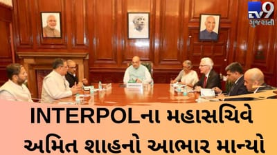 INTERPOLના સેક્રેટરી જનરલ જોર્ગેન સ્ટૉકે સાથે કેન્દ્રીય ગૃહ પ્રધાન અમિત શાહની વાતચીત, મહાસચિવે માન્યો આભાર