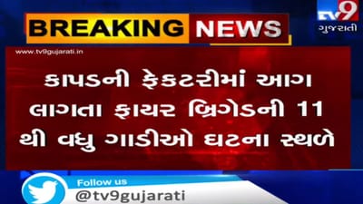 VIDEO: અમદાવાદના નારોલમાં ગોપી ફેબ્રિક ઈન્ડસ્ટ્રીઝ નામની કાપડની ફેક્ટરીમાં આગ