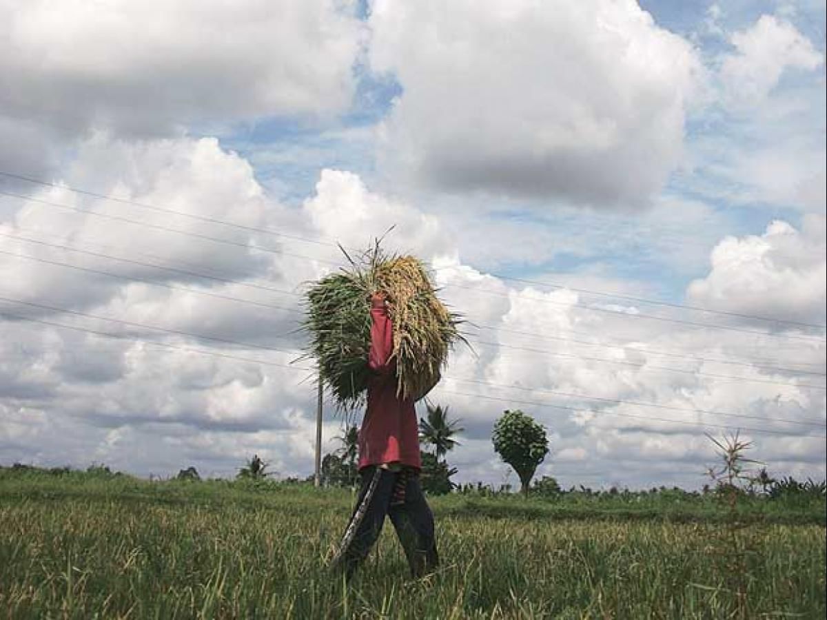 સૌરાષ્ટ્રના ખેડૂતપુત્રો માટે છે સારા સમાચાર, જુઓ VIDEO