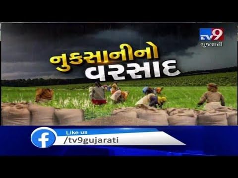 VIDEO: સૌરાષ્ટ્રમાં વરસાદથી કપાસ અને મગફળીના પાકને નુકસાન, પાણી ભરાતા પાકને નુકસાન