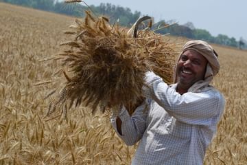 VIDEO: ખેડૂતોને નુક્સાનીમાંથી ઉગારવા આવી સહકારી મંડળીઓ! ટેકાના ભાવ કરતા વધારે ચૂકવ્યા ભાવ