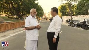 મહાબલીપુરમમાં PM મોદી અને શી જિનપિંગ વચ્ચે મુલાકાતની આંતરરાષ્ટ્રીય અસર વિશે જાણો