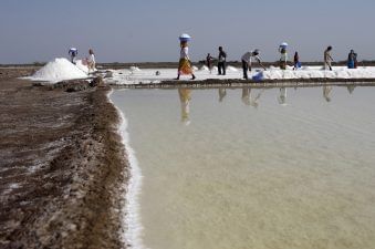 ભારે વરસાદના લીધે ગુજરાતના મીઠા ઉદ્યોગને પડ્યો મોટો ફટકો, ઘટ્યું ઉત્પાદન