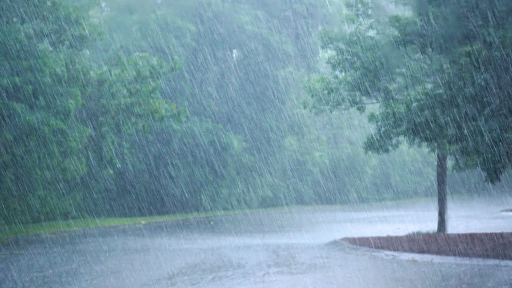 VIDEO: રાજકોટ જિલ્લામાં કમોસમી વરસાદ, નવા માર્કેટીંગ યાર્ડમાં ખુલ્લામાં રહેલી મગફળી પલળી
