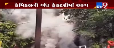 VIDEO: વડોદરામાં કેમિકલની બંધ ફેક્ટરીમાં અચાનક લાગી આગ, ફાયર ફાઈટરની 10 ટીમ ઘટનાસ્થળે પહોંચી